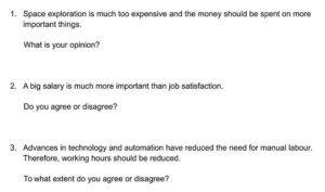 opinion essay