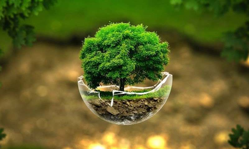 لیست واژگان محیط زیست در انگلیسی