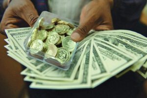 مراحل آماده کردن لوازم ضروری برای مهاجرت تحصیلی